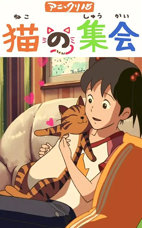 r级在线